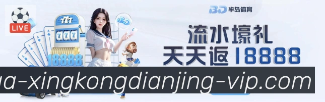 未来规划